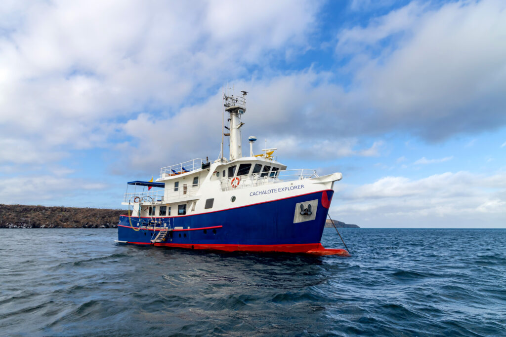 Cachalote Explorer - Galapagos