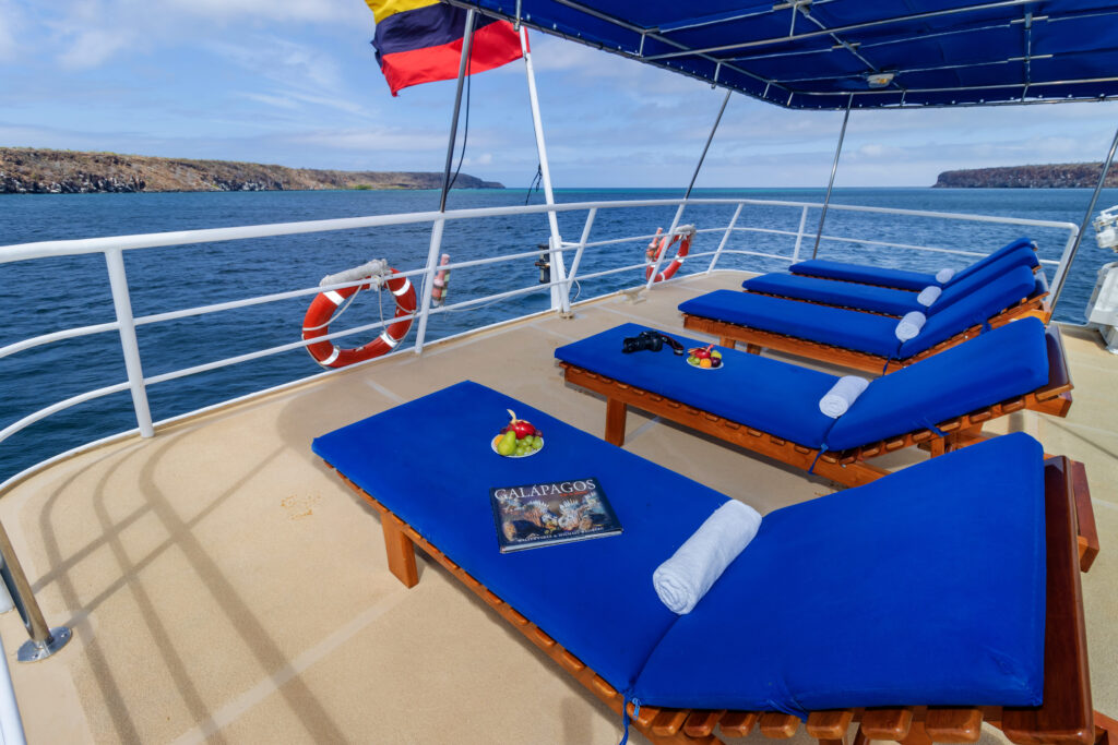 Cachalote Explorer Deck