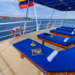 Cachalote Explorer Deck