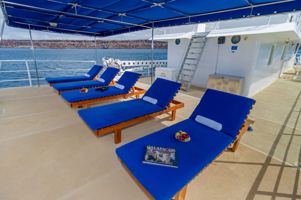 Outer Deck - Cachalote Explorer Galapagos