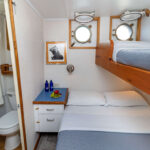 Cachalote Explorer Cabin