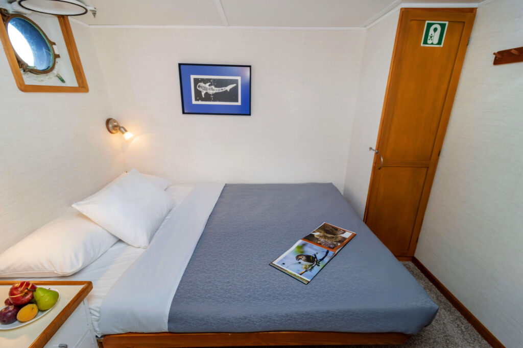 Cabin 5 - Cachalote Explorer