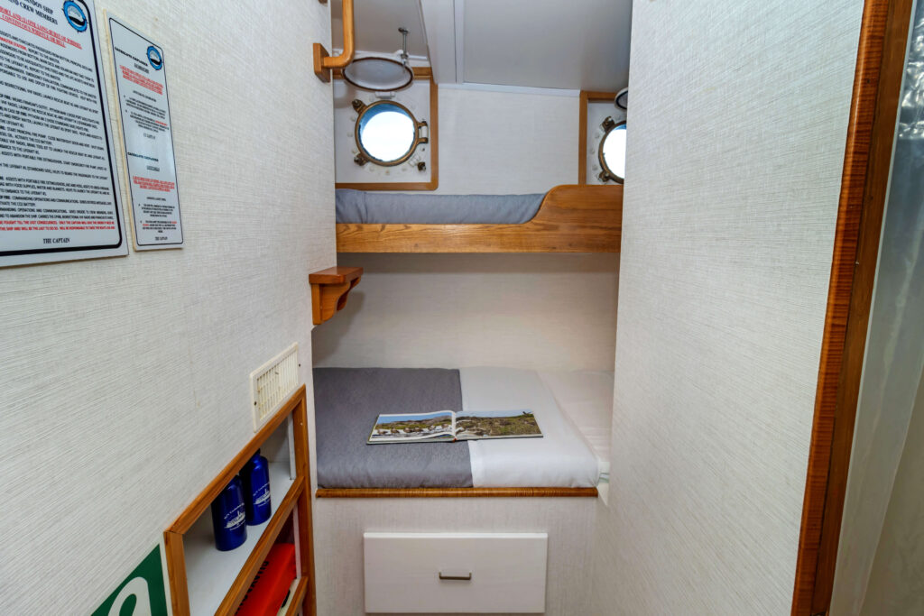 Cabin 8 - Cachalote Explorer