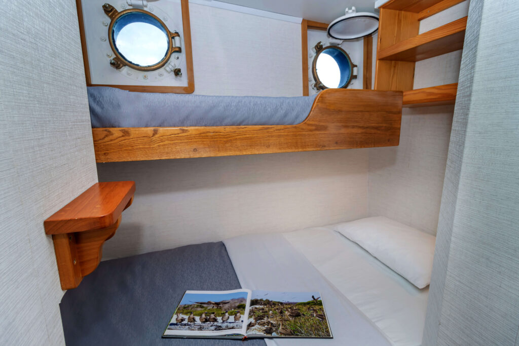Cabin 8 - Cachalote Explorer