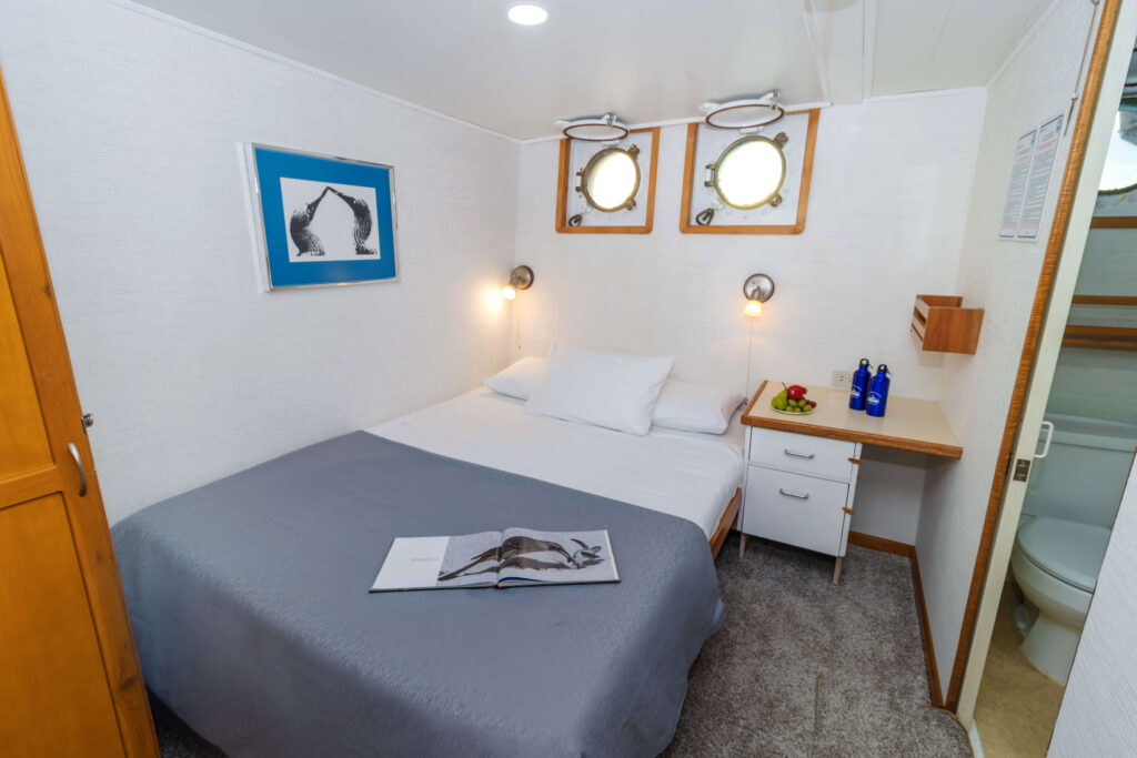 Cabin 5 - Cachalote Explorer