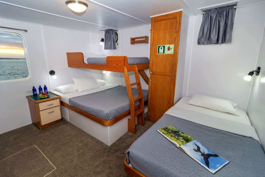 Cabin on Cachalote Explorer