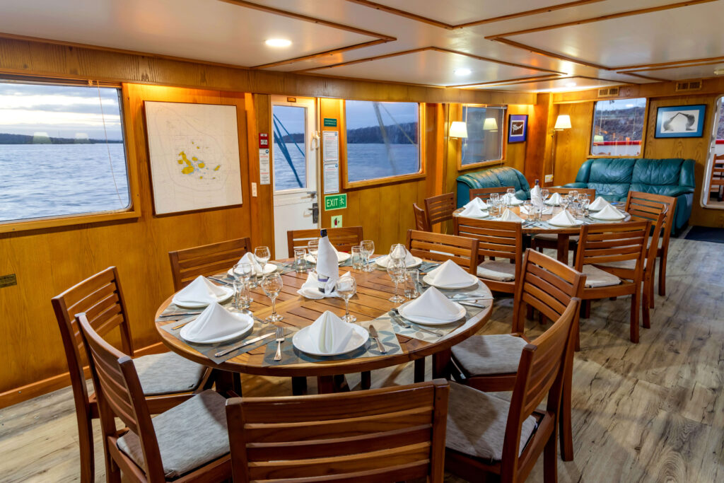 Cachalote Explorer Salon