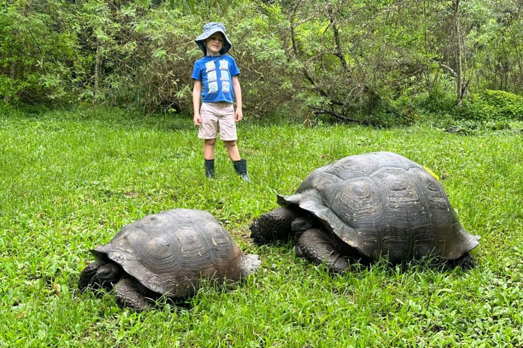 Child with tortoises