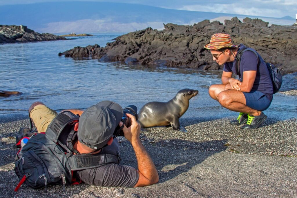 Tourists with sea lion