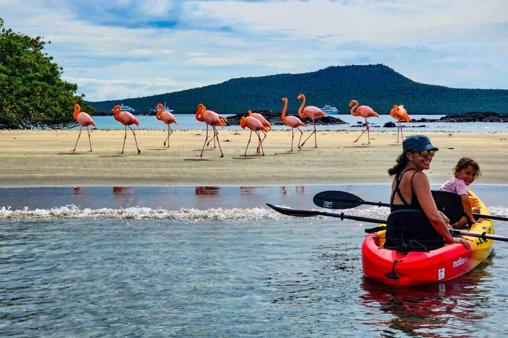 Kayaking in Galapagos