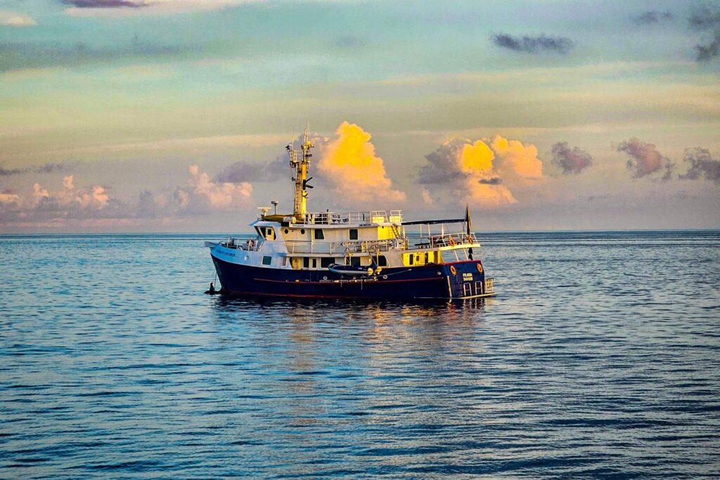 Cachalote Explorer at sunset