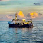 Cachalote Explorer at sunset