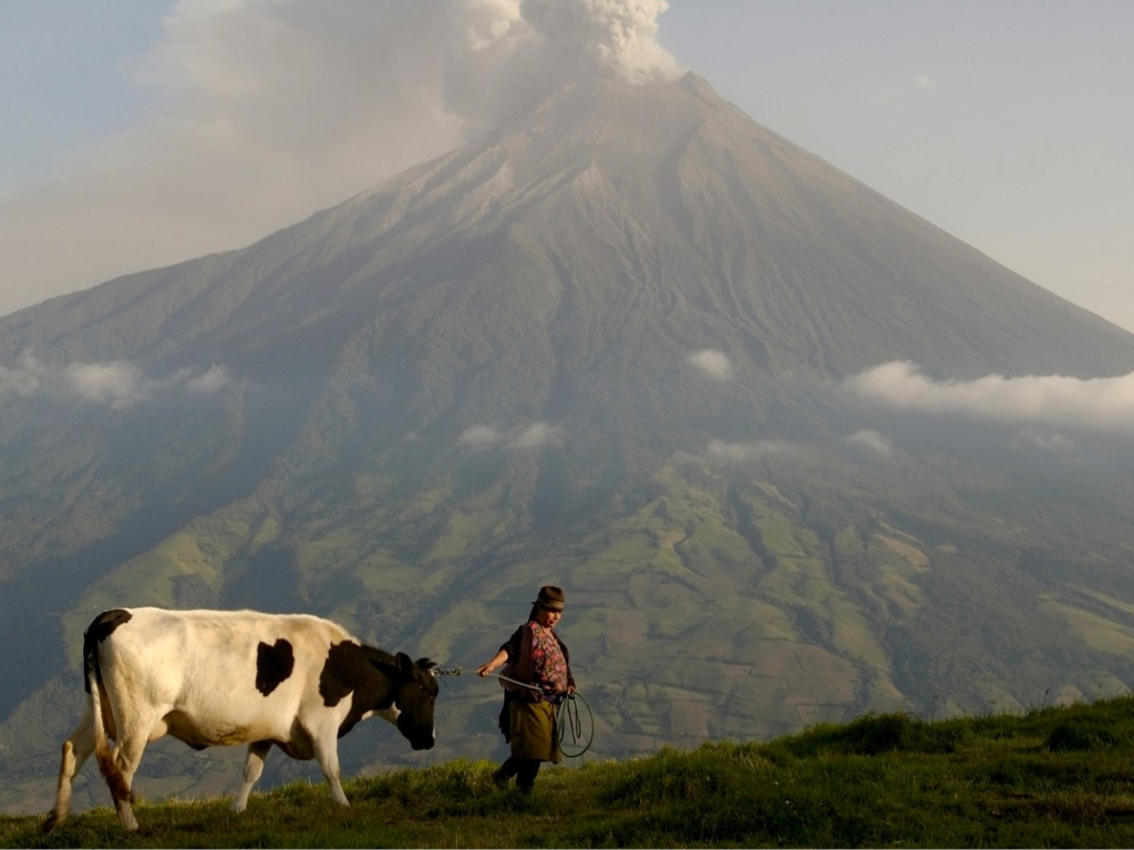 Woman with cow and erupting volcano in background